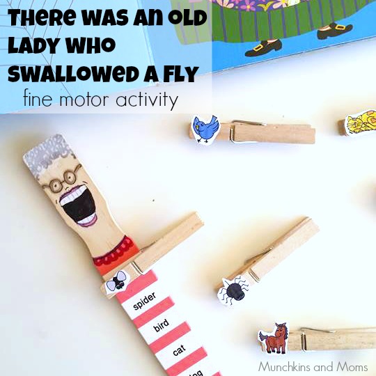 There was an old lady who swallowed a fly- Super cute activity!