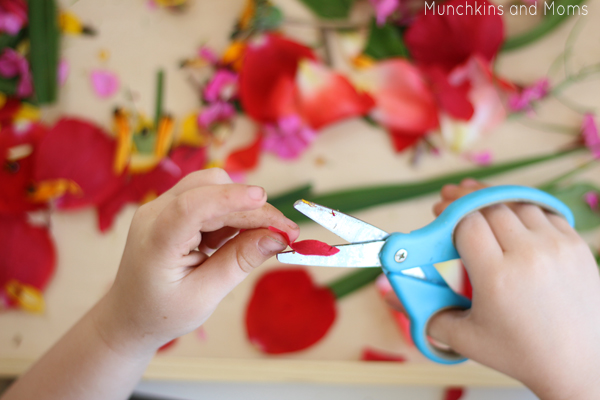 preschool scissor practice
