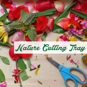 Nature cutting tray for preschool scissor skills