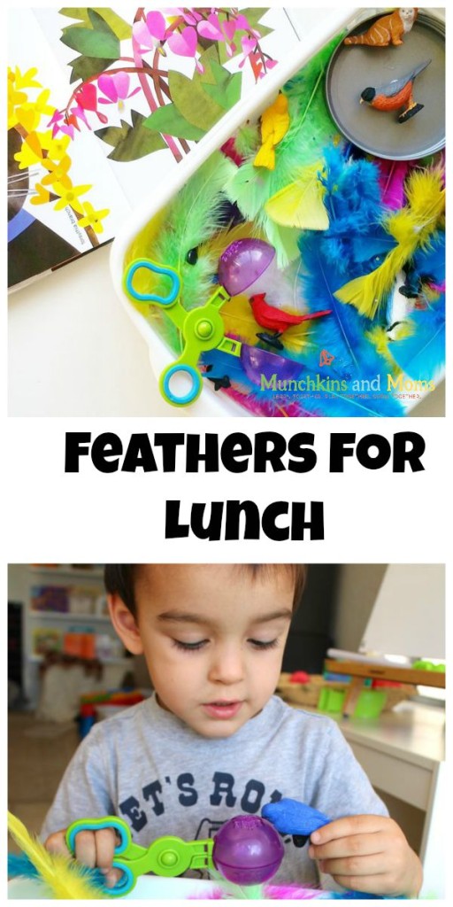 Feathers for lunch- a great activity based on the book!