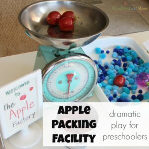 Apple Packing Facility- a great dramatic play area for preschoolers!