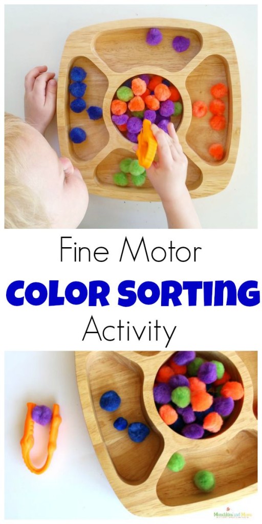 Fine motor color sorting activty