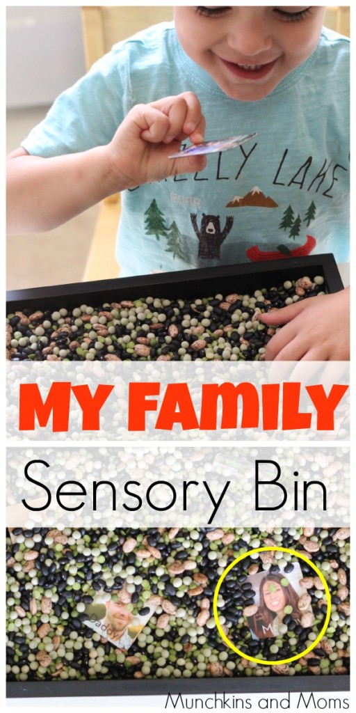 "My Family" themed sensory bin. A great addition to the preschool theme "All About Me!" 