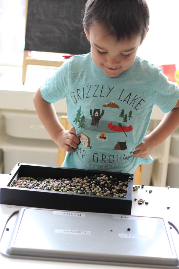 Sensory Bin Basics: What You Need to Have - Busy Toddler