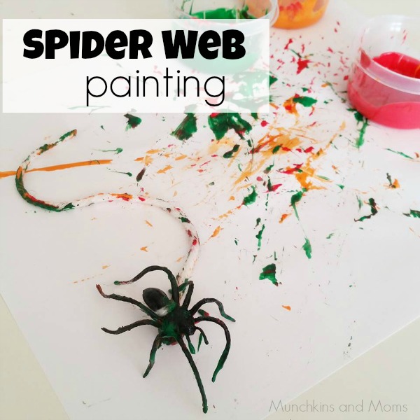 spider web -10