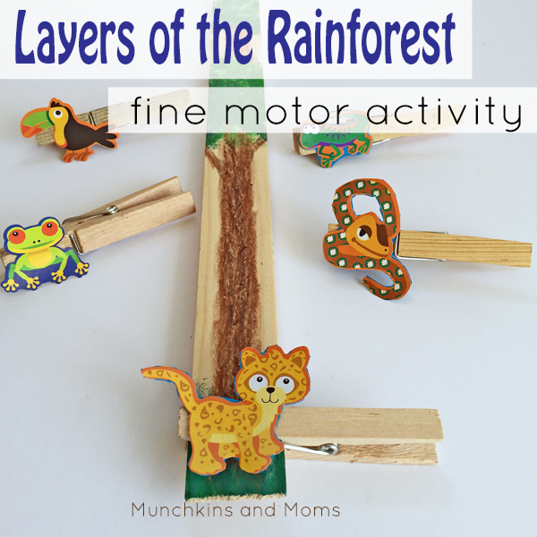 layers of the rainforest fine motor activity