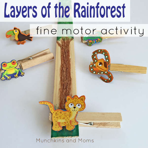 rainforest layers for kids with animals