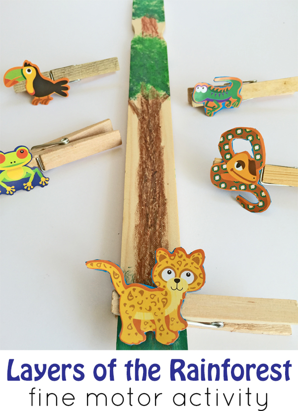 Layers of the rainforest preschool fine motor activity. Perfect to go along with the book The Greak Kapok Tree!