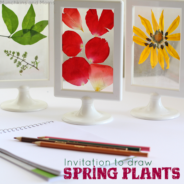 Invitation to draw spring plants