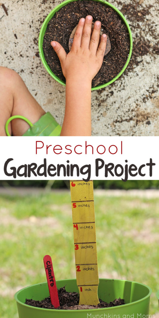 Preschool Gardening Project- a great way to learn with kids!