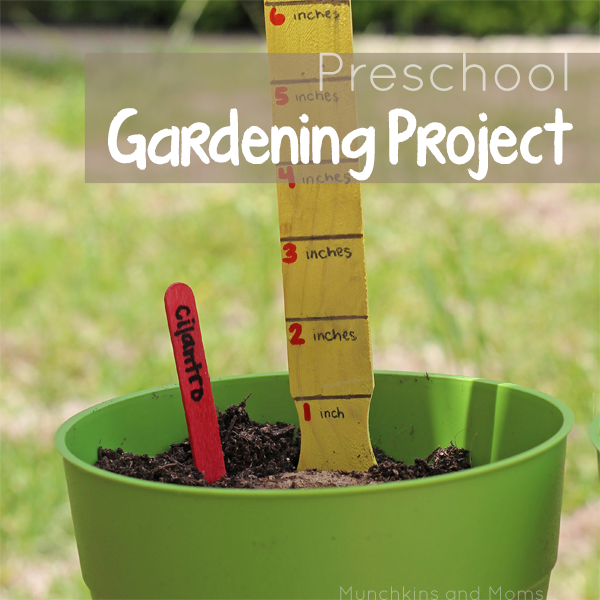Simple ideas on how to start a garden with preschoolers!