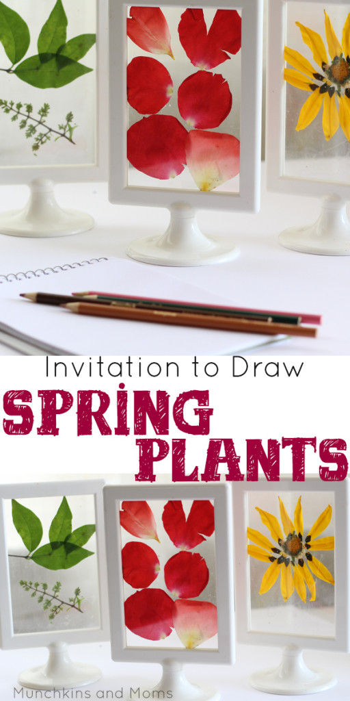 What a stunning preschool art and science investigation! Perfect for a Spring Flowers theme.