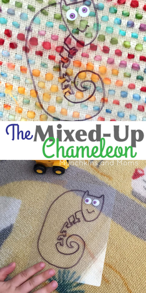 Mixed-Up Chameleon Hide-and-Seek Activity