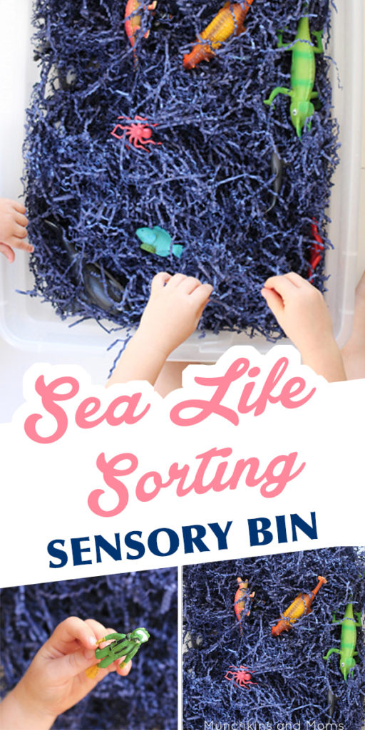 This sea life sensory bin takes a minute to put together but occupies little hands for so long!  Great for an ocean preschool theme!