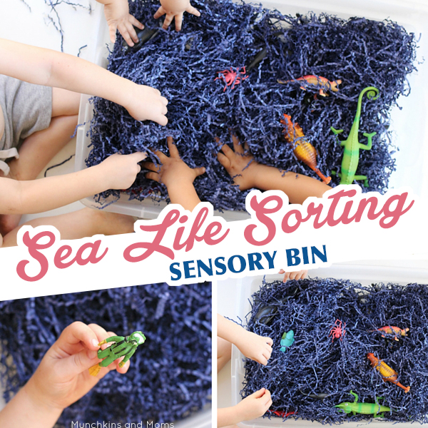 Sea life sorting sensory bin- super easy and engaging activity for preschoolers! #learnthroughplay