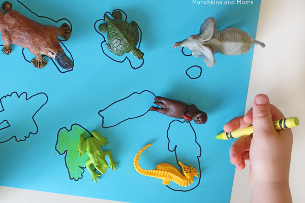 Make a simple puzzle for preschoolers and toddlers using animal toys! When kids are done with the puzzle, they have a simple coloring sheet to do as well. 