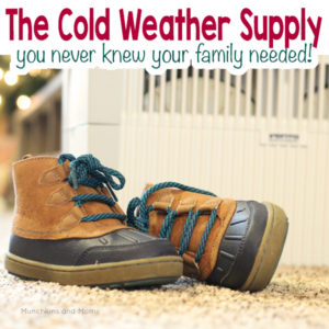 The cold weather supply you never knew your family needed!