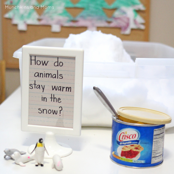 How do arctic animals stay warm in the snow and freezing water? This experiment will help preschoolers find out!