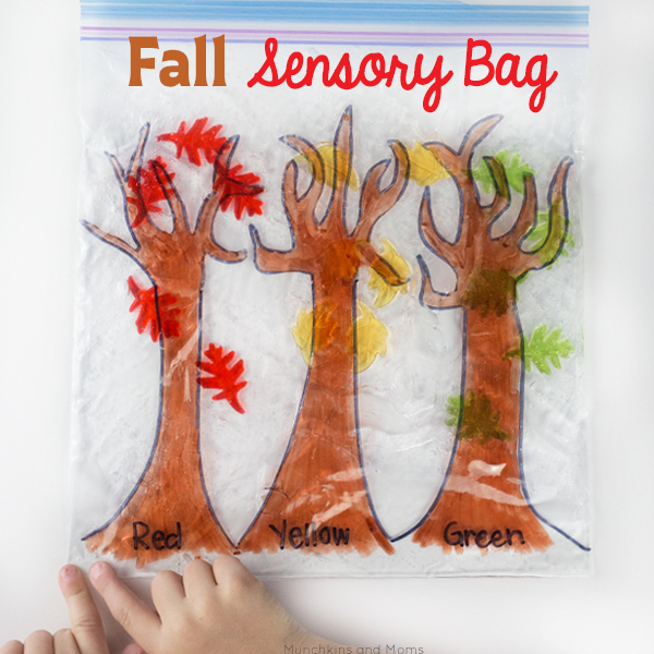 https://playteachrepeat.com/wp-content/uploads/2017/11/fall-sensory-bag-square.jpg